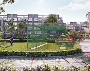 smartworld-orchard-cricket