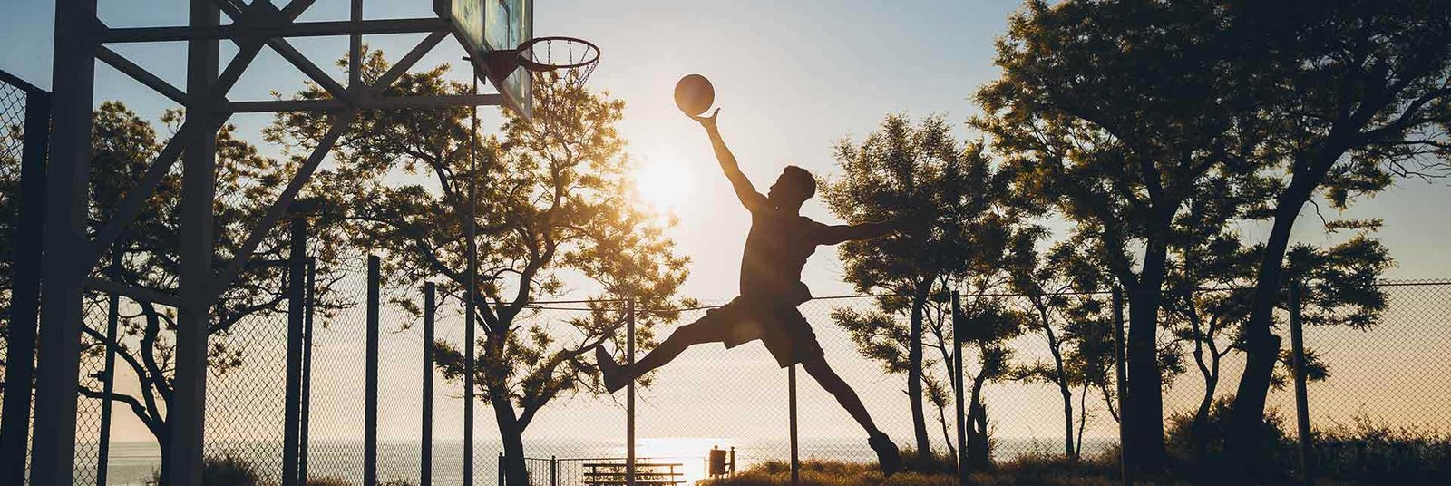 smartworld-the-edition-basketball